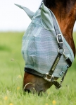 HORSEWARE