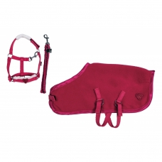 Starter Set Cuddle Pony