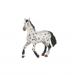 PAPO - Black Appaloosa Horse