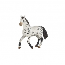 PAPO - Black Appaloosa Horse