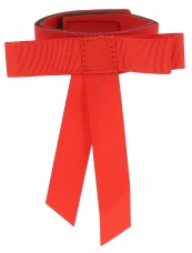 Tail Ribbon Norton