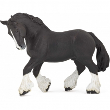 PAPO - Black Shire Stallion