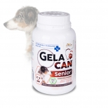 GelaCan Senior for joint nutrition of older dogs