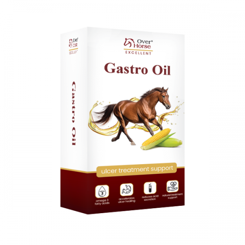 Gastro Oil, 2l
