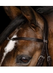 Waldhausen X-Line Bridle Charmbit Waldhausen X-Line Bridle Charmbit