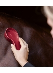 Brush All-in-one