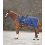 Rain Exercise Sheet with Saddle Gap