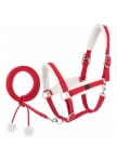 Halter + lanyard EQUITHÈME - Xmas Halter + lanyard EQUITHÈME - Xmas