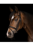 Waldhausen X-Line Bridle Charmbit Waldhausen X-Line Bridle Charmbit