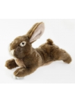 "Country Dog"  Rabbit, with squeaker