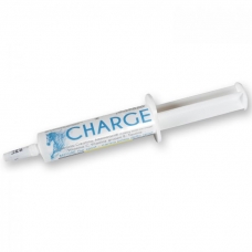 Energy Paste Charge