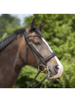 Double Bridle Paris