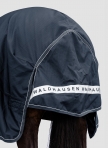 WALDHAUSEN