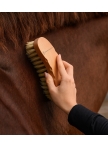 Exclusive Line contour brush