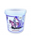 MagnesiumPony for horses