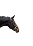 Bridle Manchester