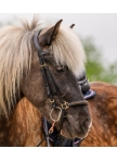 Icelandic Snaffle Bridle Ice