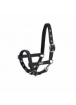 Halter Foal Eskadron Core