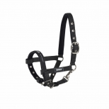 Halter Foal Eskadron Core