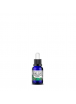 Essential Oil Mint, 10 ml