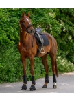 Trinidad saddle pad
