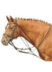 Training Aid Gogue Training Aid Gogue