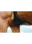 Norton Magnet Girth