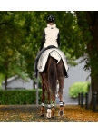 Reflective riding vest