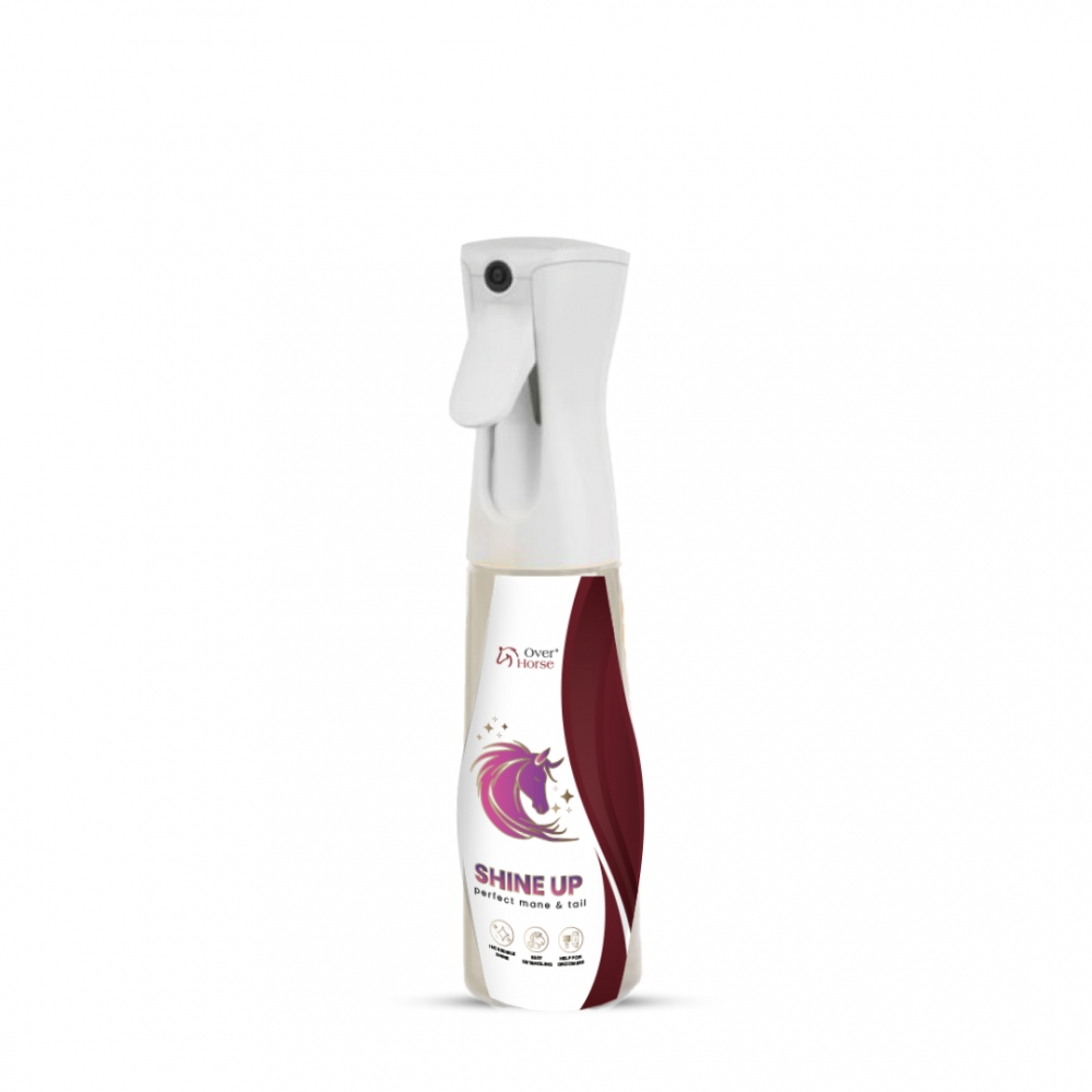 Shine Up, 300 ml Shine Up, 300 ml