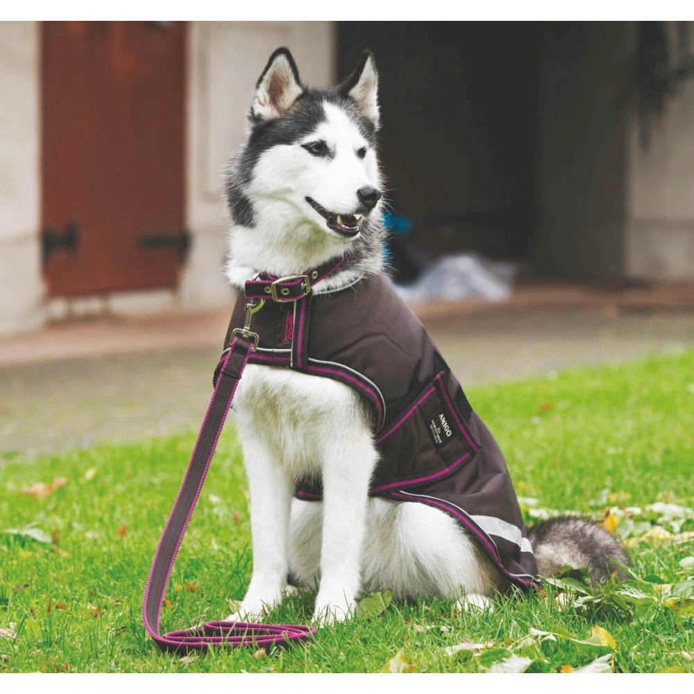 Amigo Dog Lead Amigo Dog Lead