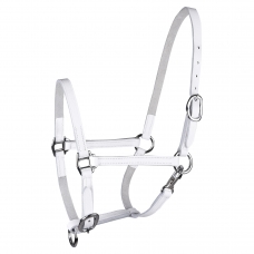 STAR foal show halter, leather