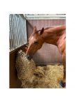 Hay Slow Feeder Net 10 kg Hay Slow Feeder Net 10 kg