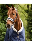 Halter Exclusive Halter Exclusive