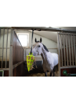 Hay Slow Feeder Fun & Flex Carrot