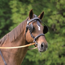 Bridle with Blinkers