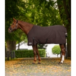 Turnout Rug Arctic, 200 g