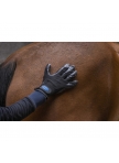 Anti-shedding Grooming Glove Hippotonic