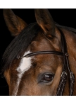 Waldhausen X-Line Bridle Charmbit Waldhausen X-Line Bridle Charmbit