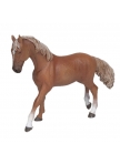 PAPO - Chestnut English Thoroughbred Mare
