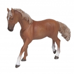 PAPO - Chestnut English Thoroughbred Mare