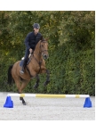 Cavaletti Block