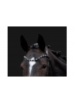 Bridle Manchester