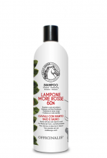 Shampoo with Raspberry and Red Mulberry