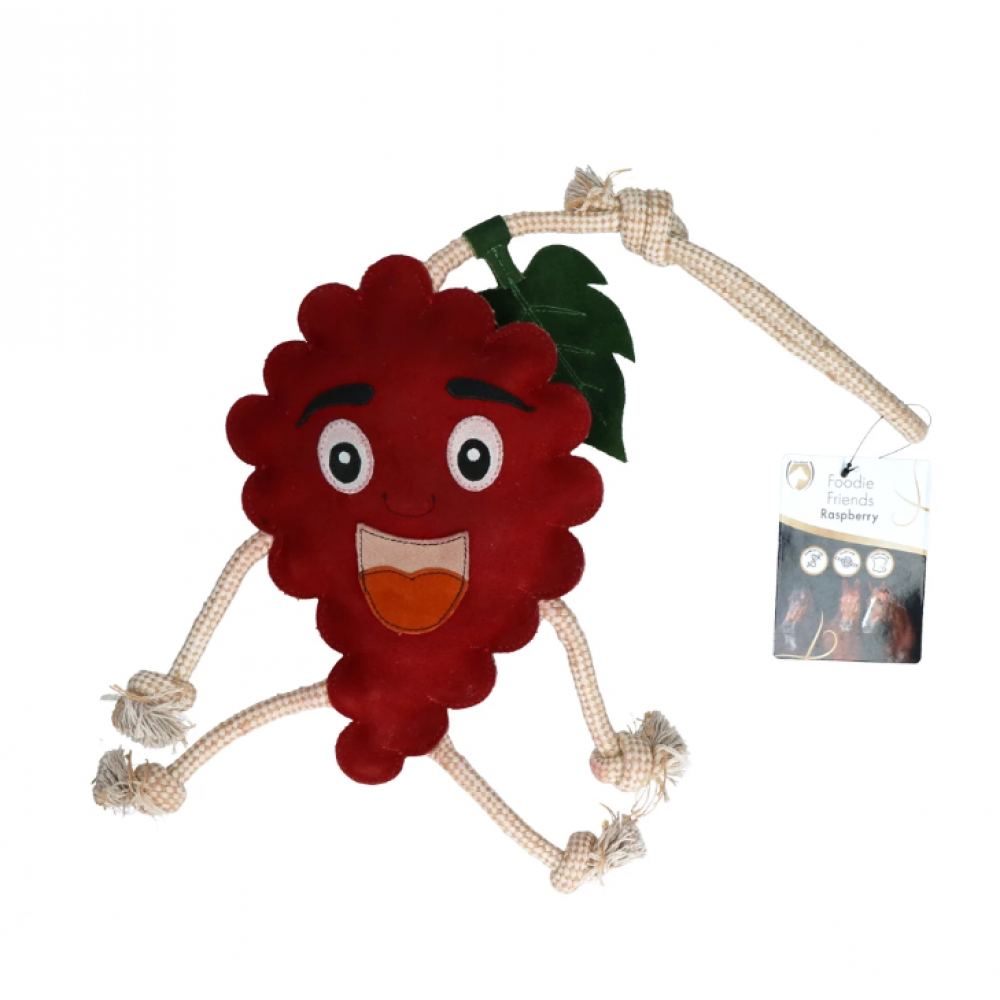 Excellent Horse Foodie Friends Raspberry Excellent Horse Foodie Friends Raspberry