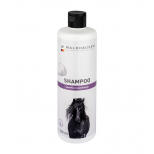 Blackcurrant Grooming Shampoo, 500 ml