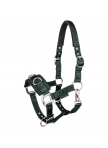Economic lunging halter