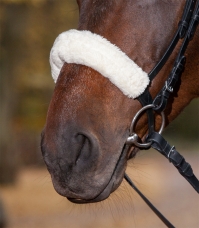 Noseband or headpiece cushioning pads