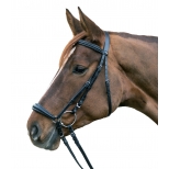 Bridle HANNOVER