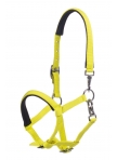 Foal Head Collar Millie