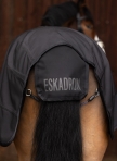 ESKADRON